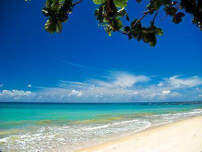 Beachfront apart-hotel – 28 apartments with swimming pool and established profitability